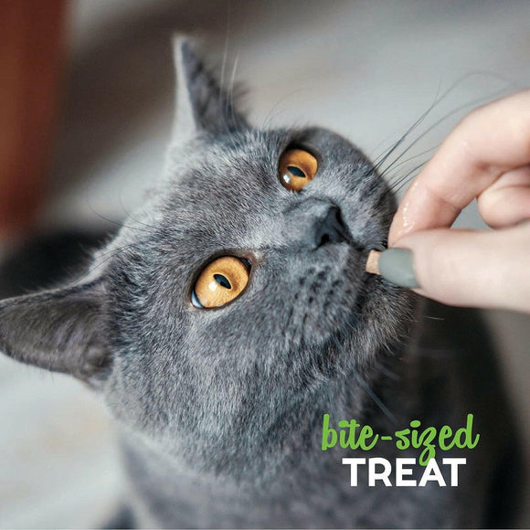 Buddy Biscuits Grain Free Cat Treats Tender Chicken (3 oz)