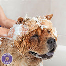 Buddy Wash Relaxing Green Tea & Bergamot 2-in-1 Shampoo + Conditioner For Dogs (16 oz)