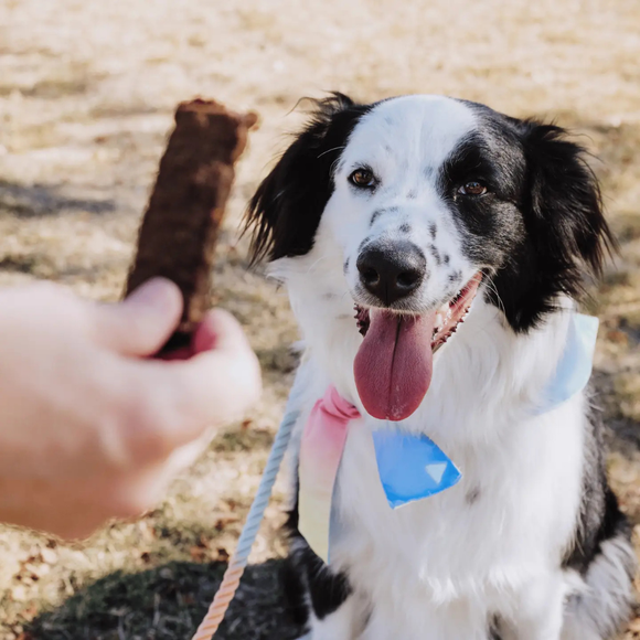 Bundle x Joy Beef Superfood Jerky Bars for Dogs - Jerky Dog Treats 7