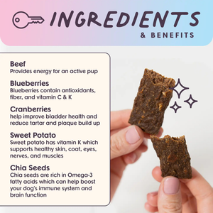 Bundle x Joy Beef Superfood Jerky Bars for Dogs - Jerky Dog Treats 2