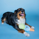 Bundle x Joy Ice Cream Cone Crinkle & Squeak Dog Toy - Dog Toys 5