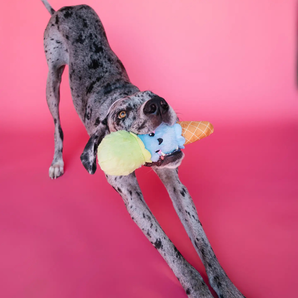 Bundle x Joy Ice Cream Cone Crinkle & Squeak Dog Toy - Dog Toys 3