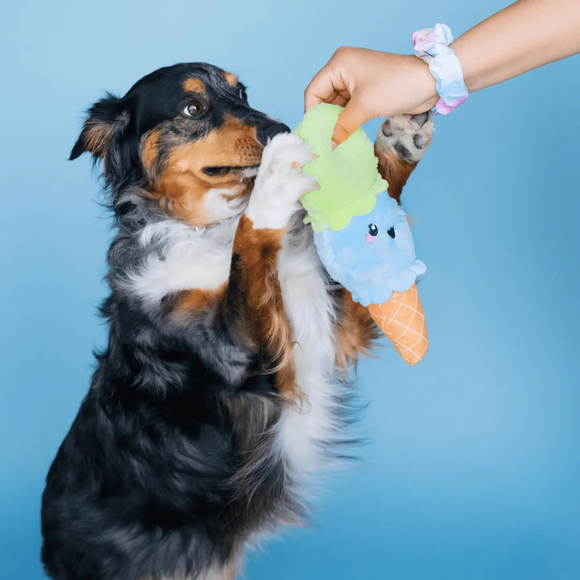 Bundle x Joy Ice Cream Cone Crinkle & Squeak Dog Toy - Dog Toys 4