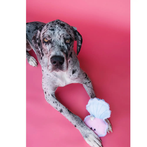 Bundle x Joy Oyster & Pearl Crinkle & Squeak Dog Toy - Dog Toys 2