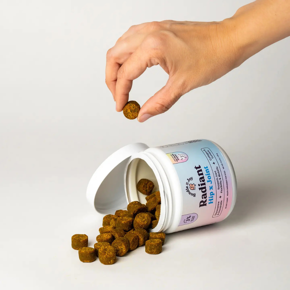 Bundle x Joy Radiant Hip& Joint Supplement for Dogs (90 soft chews) - Pet Vitamins & Supplements 2