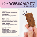 Bundle x Joy Salmon Superfood Jerky Bars for Dogs - Dog Food 3