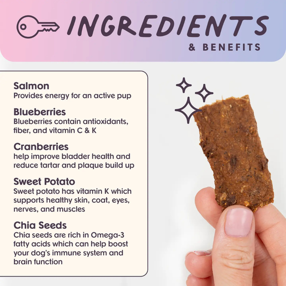 Bundle x Joy Salmon Superfood Jerky Bars for Dogs - Dog Food 3