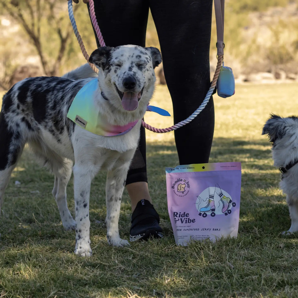 Bundle x Joy Salmon Superfood Jerky Bars for Dogs - Dog Food 5