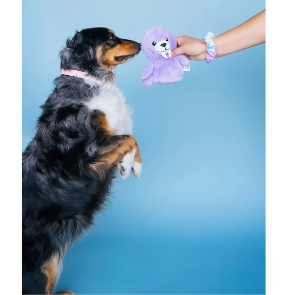 Bundle x Joy Walrus Cone Crinkle & Squeak Dog Toy - Dog Toys 4