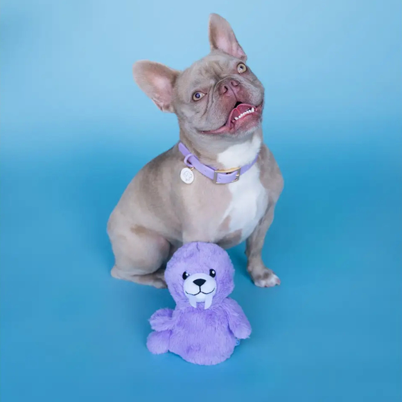 Bundle x Joy Walrus Cone Crinkle & Squeak Dog Toy - Dog Toys 2