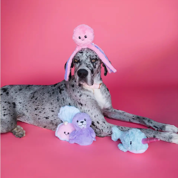 Bundle x Joy Walrus Cone Crinkle & Squeak Dog Toy - Dog Toys 3
