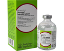 Buscopan 20mg/mL Injectable Solution 50 mL