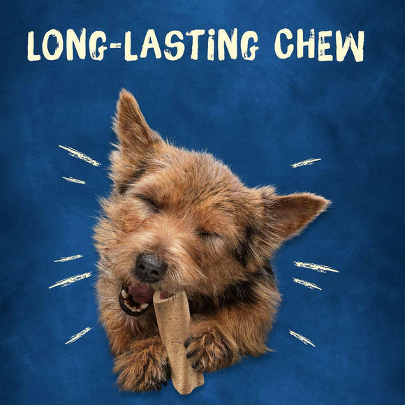 Purina Busy Bone Mini Long Lasting Chew Small Dog Treats no Long lasting chew
