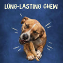 Purina Busy Rib Hide Long-Lasting Beef Hide Chew Small/Medium Dog Treats