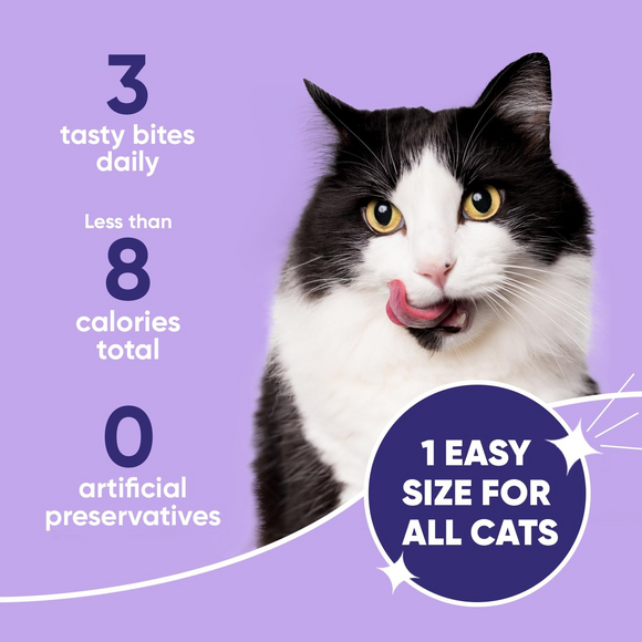 C.E.T. Intellident Cat Dental Treat (90 count) - Cat Treats 5