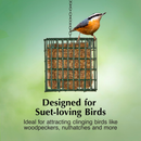 C&S EZ Fill Suet Basket Wild Bird Feeder - Bird Food 4
