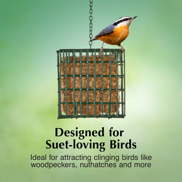 C&S EZ Fill Suet Basket Wild Bird Feeder - Bird Food 4