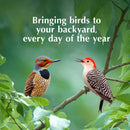 C&S EZ Fill Suet Basket Wild Bird Feeder - Bird Food 7