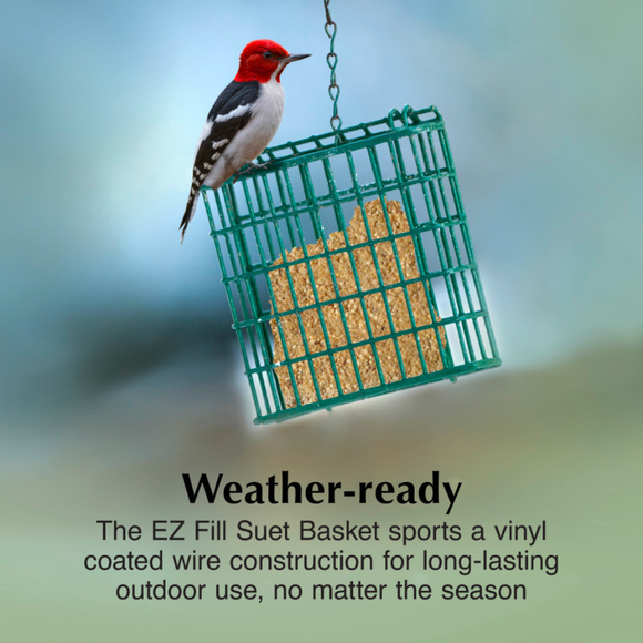 C&S EZ Fill Suet Basket Wild Bird Feeder - Bird Food 3