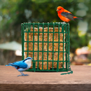 C&S EZ Fill Suet Basket Wild Bird Feeder - Bird Food 6