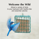 C&S High Energy Delight No Melt Suet Dough for Wild Birds (11 oz) - Bird Food 5