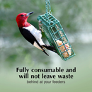 C&S High Energy Delight No Melt Suet Dough for Wild Birds (11 oz) - Bird Food 6