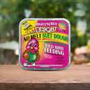 C&S High Energy Delight No Melt Suet Dough for Wild Birds (11 oz) - Bird Food 9