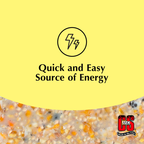 C&S High Energy Suet Treat for Wild Birds (11.75 oz) - Bird Treats 2