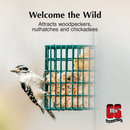 C&S High Energy Suet Treat for Wild Birds (11.75 oz) - Bird Treats 3