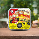 C&S No Melt Suet Dough for Wild Birds (11.75 oz) - Bird Food 9