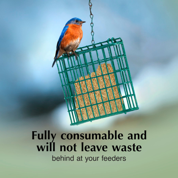 C&S No Melt Suet Dough for Wild Birds (11.75 oz) - Bird Food 17