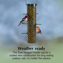 C&S Suet Nugget Feeder - Bird Food 3