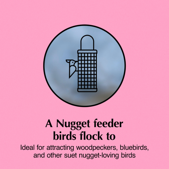 C&S Suet Nugget Feeder - Bird Food 4