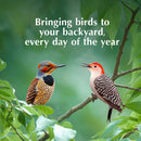 C&S EZ Fill Suet Basket Wild Bird Feeder - Bird Food 7
