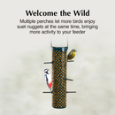 C&S Suet Nugget Feeder - Bird Food 2