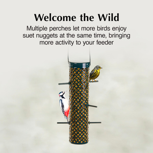 C&S Suet Nugget Feeder - Bird Food 2