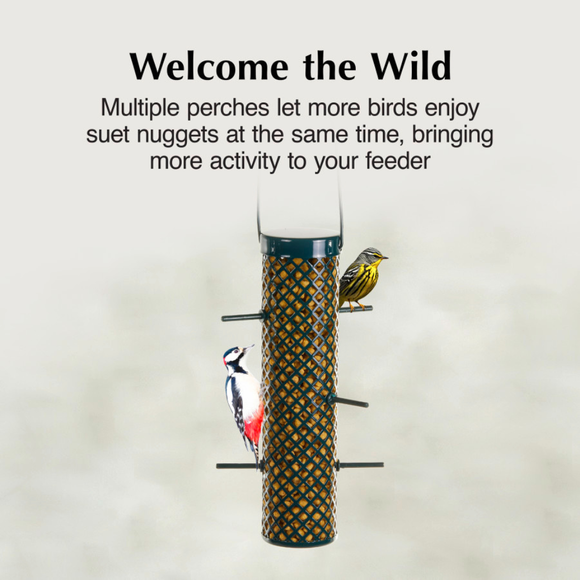 C&S Suet Nugget Feeder - Bird Food 2