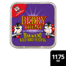 C&S Suet Treat for Wild Birds 12 pack - Bird Treats 10