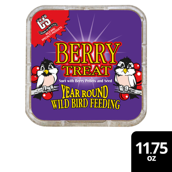 C&S Suet Treat for Wild Birds 12 pack - Bird Treats 10