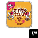 C&S Suet Treat for Wild Birds 12 pack - Bird Treats 17