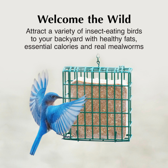 C&S Suet Treat for Wild Birds 12 pack - Bird Treats 4
