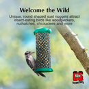 C&S Woodpecker Suet Nuggets Wild Bird Food (27 oz) - Bird Food 3