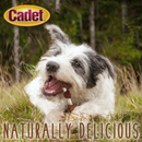 Cadet Gourmet Beef Hide Shish Kabob Dog Treats - Dog Treats 9
