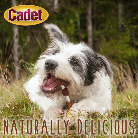 Cadet Gourmet Beef Hide Shish Kabob Dog Treats - Dog Treats 9