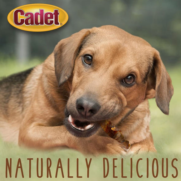 Cadet Gourmet Chicken-Wrapped Sweet Potato Treats For Dog (14 oz)