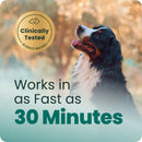 Calm & Confident Chews Bacon Flavor for Dogs - Dog Supplements & Vitamins 8