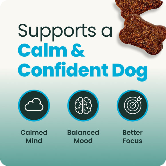 Calm & Confident Chews Bacon Flavor for Dogs - Dog Supplements & Vitamins 9
