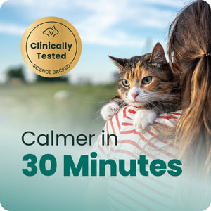 Calm & Confident chews for Cats - Cat Calming & Anxiety Supplements 2