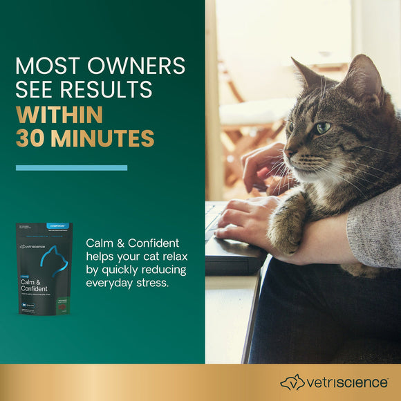 Calm & Confident chews for Cats Trout Flavor