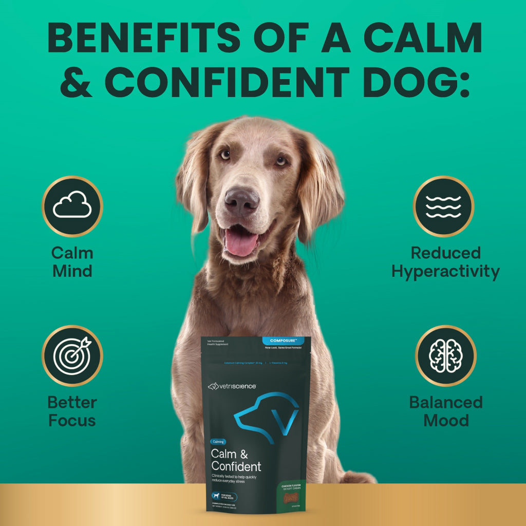 VetriScience Calm & Confident Relaxation Soft Chews for Dogs